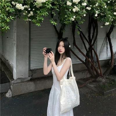 托梅斯的导盲犬